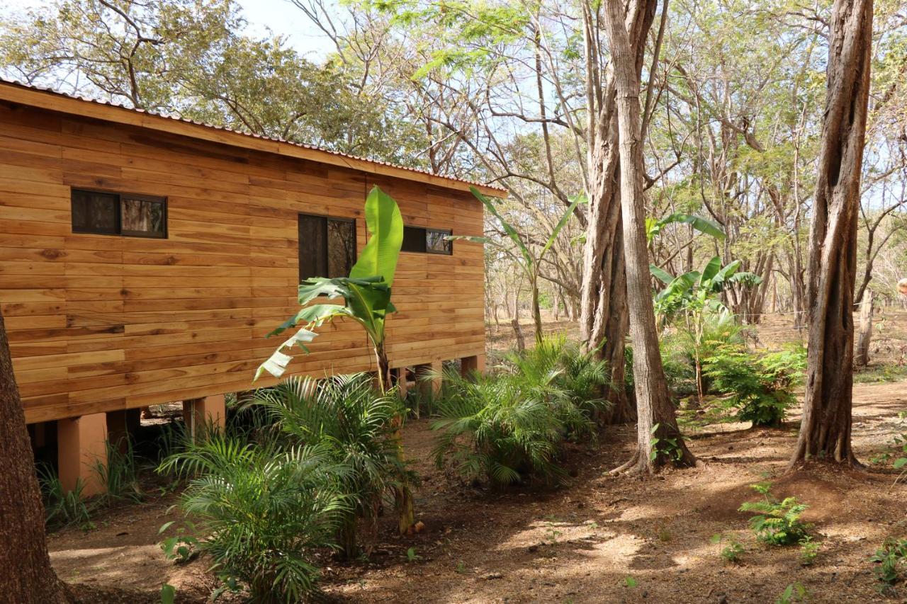 Casa Natural Brasilito Eksteriør bilde